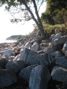 mon-strand-bei-fanefjord-mit-steinen-und-baum
