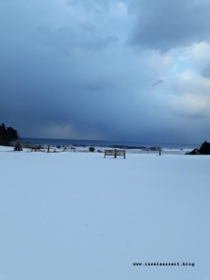 Winterbilder aus Dänemark Insel Møn Bank im Schnee mit Ausblick auf Ostsee
