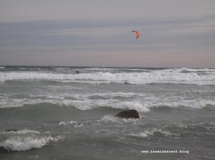 Winterbilder aus Dänemark Meer bei Sturm Insel Møn Kitesurfer bei Busene Have